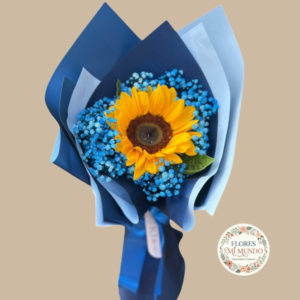 Girasol Envuelto
