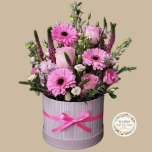 Delicado Box con Gerberas Rosadas
