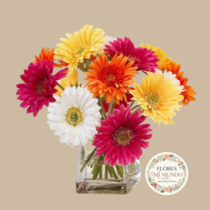 Cubo con 10 Gerberas