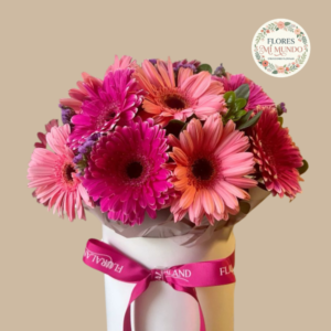 Box con 10 Gerberas
