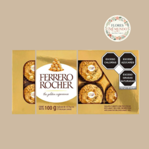 Ferrero Rocher 100g