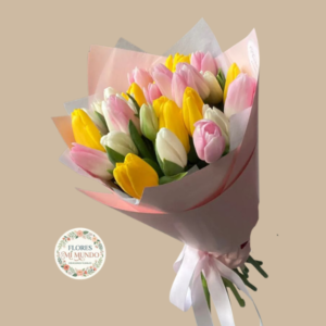 Ramo de 20 Tulipanes Surtidos