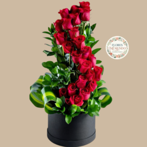 Box de Rosas Premium