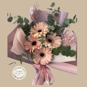 Ramo con Gerberas Rosadas