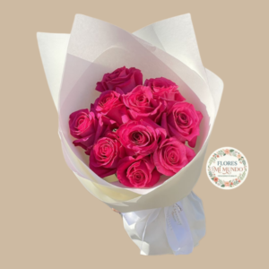 Ramo con 10 Rosas Fucsias