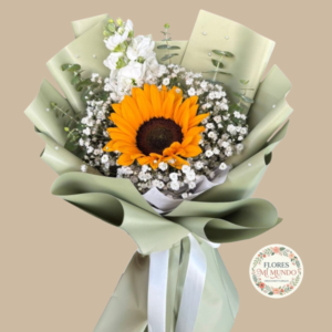 Girasol con Ilusion
