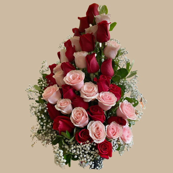 Rosas Bicolor en Escalas
