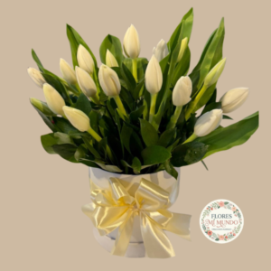 Box con Tulipanes Blancos