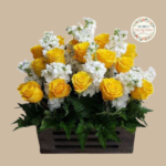Canasto con Rosas Amarillas