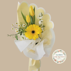 Tierno Ramo con Tulipanes y Gerbera