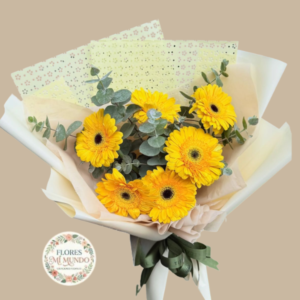 Elegante Ramo con 6 Gerberas