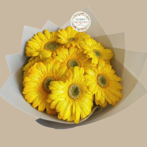 Ramo con 8 Gerberas Amarillas