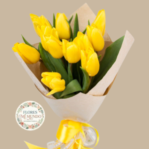 Ramo con 10 Tulipanes